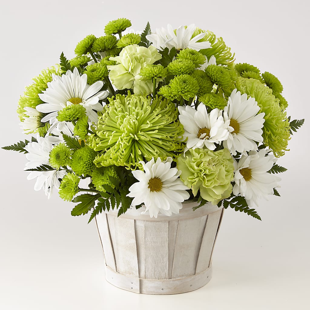 Lucky Charm Basket (Standard) – PARKER'S FLORIST, Madison AL