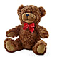 Adorable Plush Bear – PARKER'S FLORIST, Madison AL