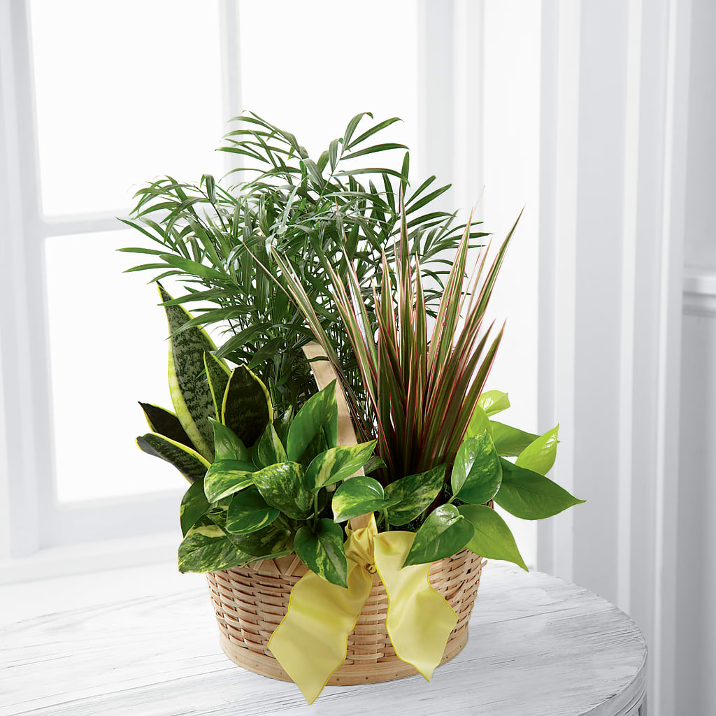 French Garden – PARKER'S FLORIST, Madison AL