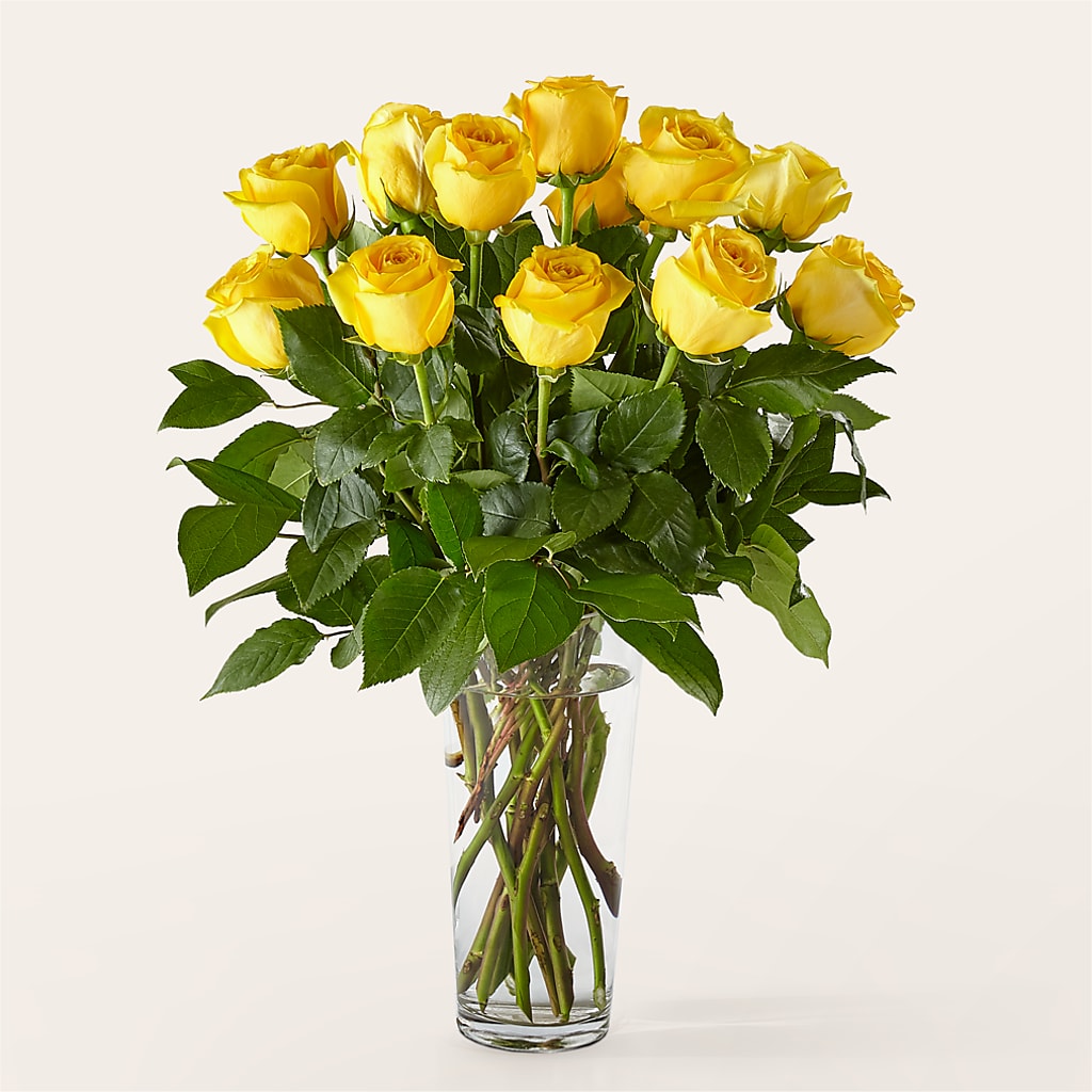 Long Stem Yellow Rose Bouquet – PARKER'S FLORIST, Madison AL