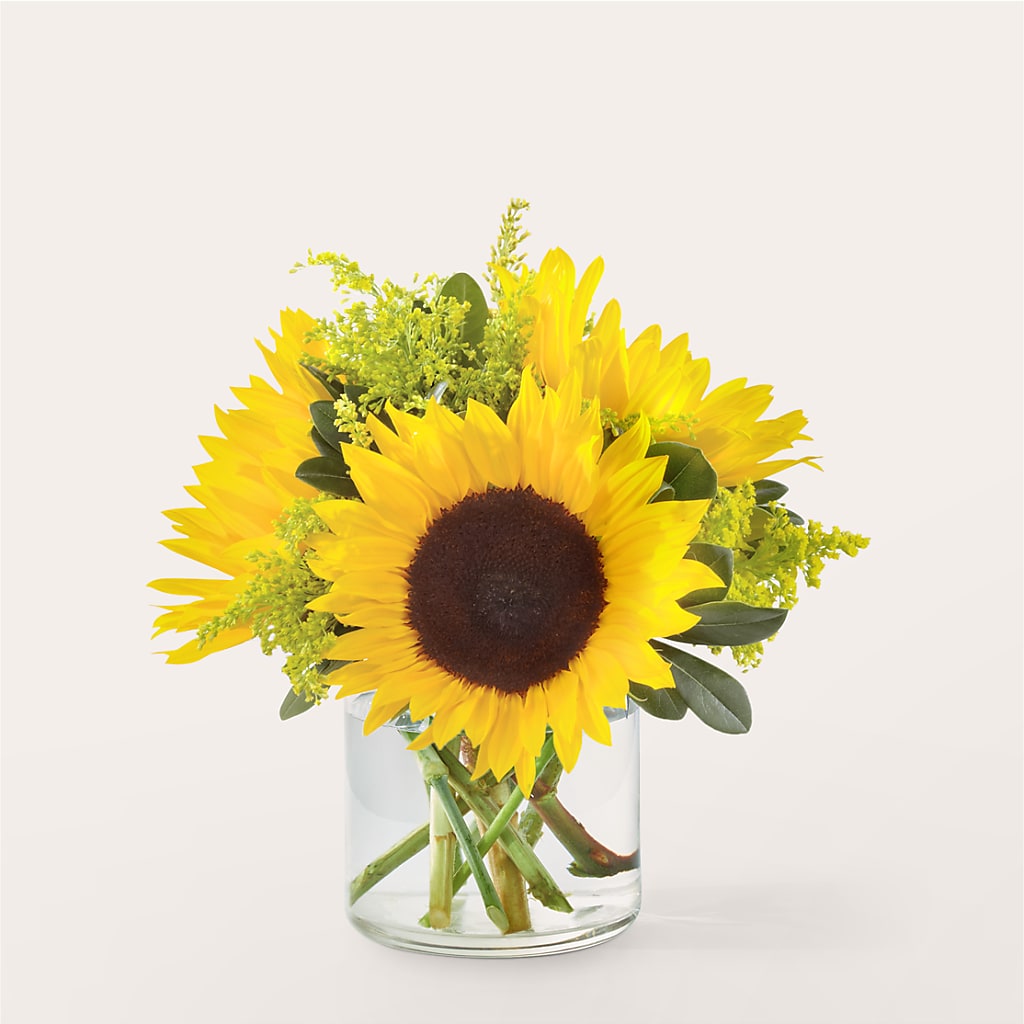 Beaming Sunflower Bouquet – PARKER'S FLORIST, Madison AL