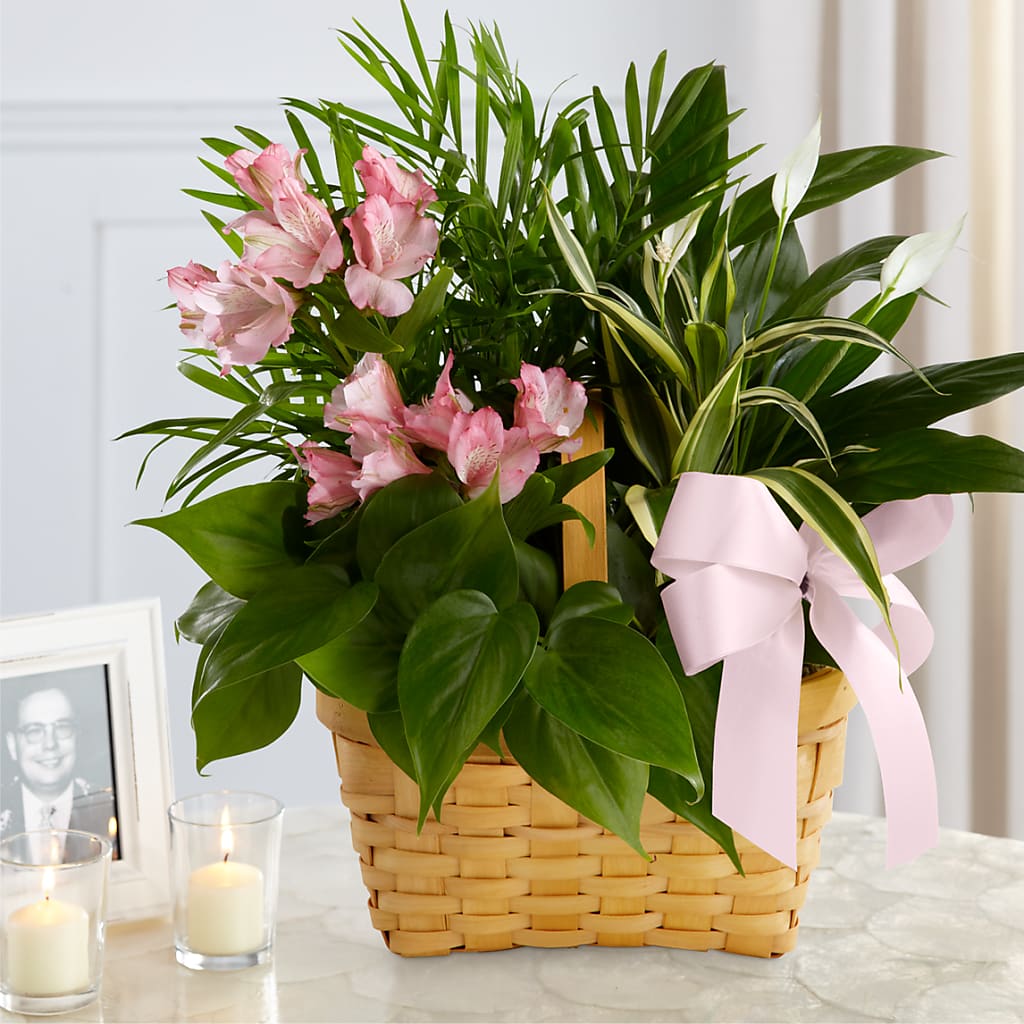 Living Spirit Dishgarden – PARKER'S FLORIST, Madison AL