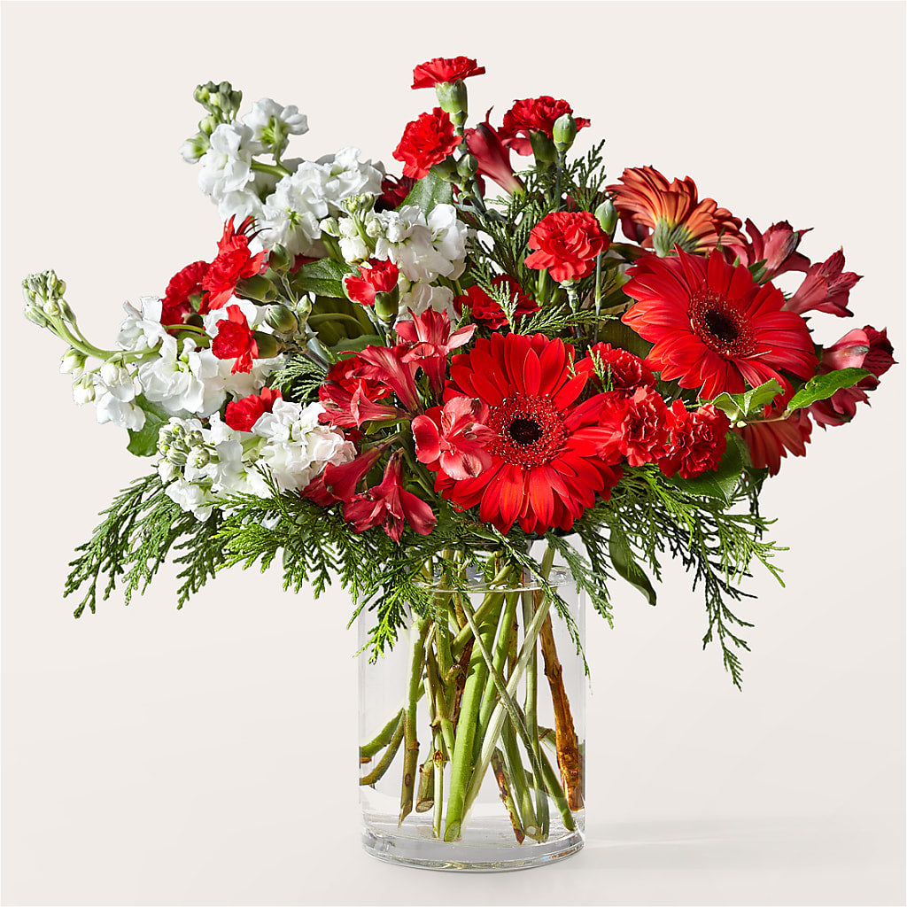 Holidaisy Bouquet – PARKER'S FLORIST, Madison AL