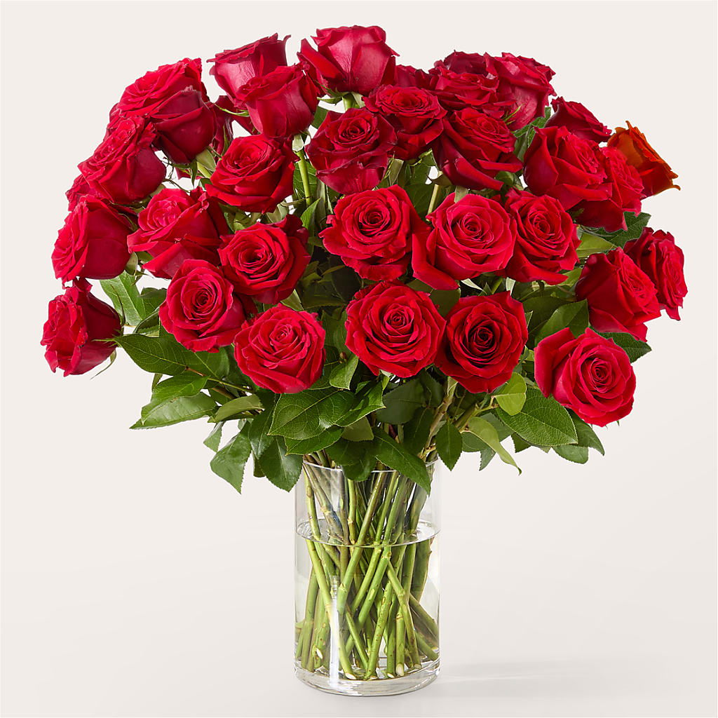 The One Red Rose Bouquet – PARKER'S FLORIST, Madison AL
