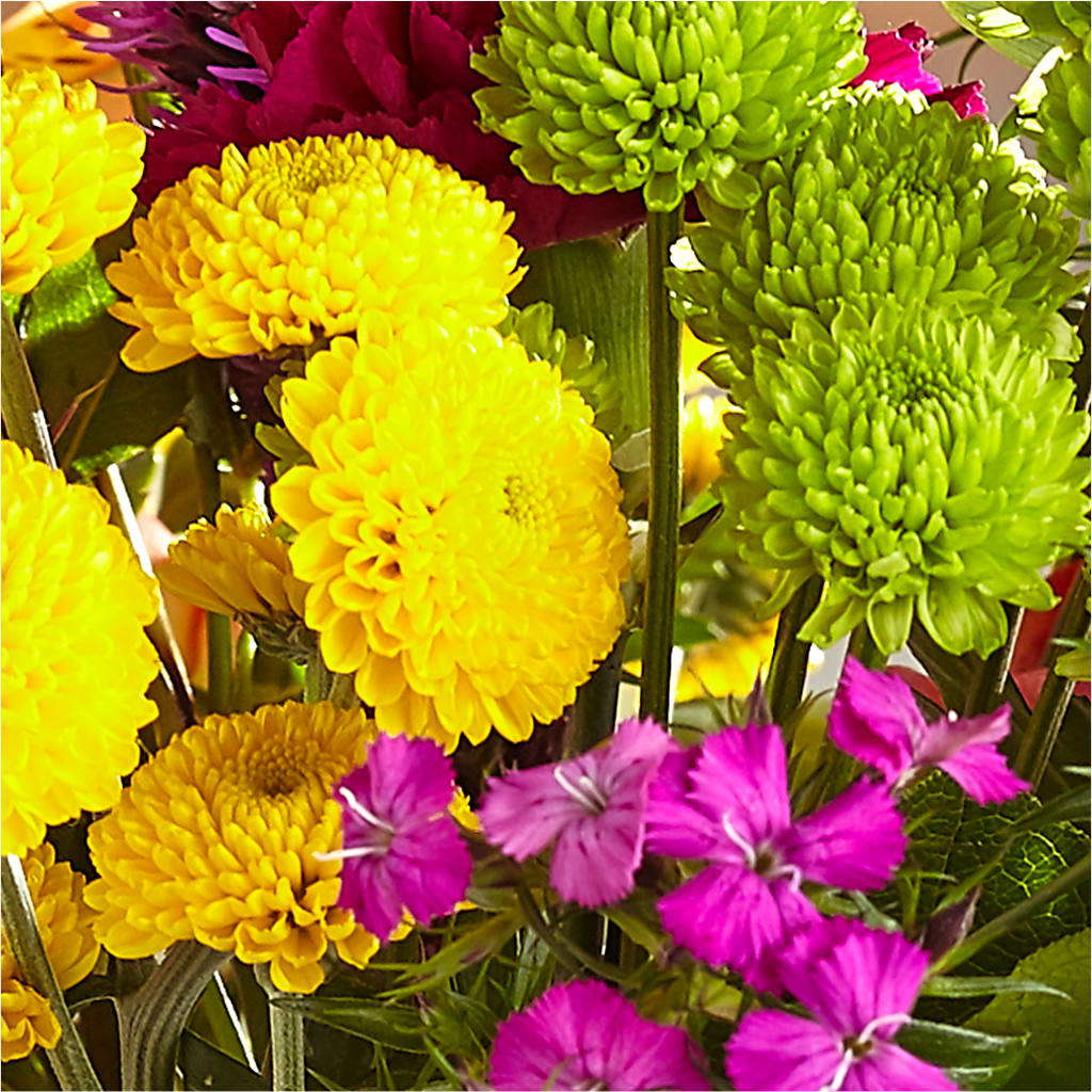 Bold & Bright – A Florist Original – PARKER'S FLORIST, Madison AL