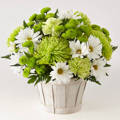 Lucky Charm Basket (Standard) – PARKER'S FLORIST, Madison AL