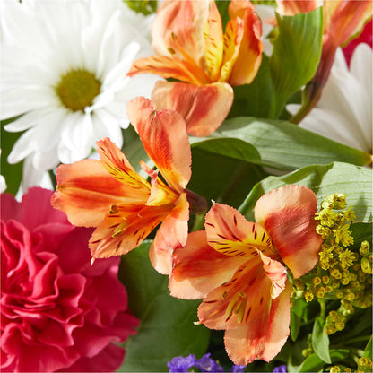 Oopsie Daisy Box Bouquet – PARKER'S FLORIST, Madison AL