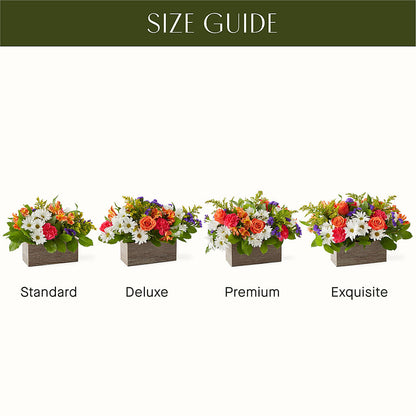 Oopsie Daisy Box Bouquet – PARKER'S FLORIST, Madison AL