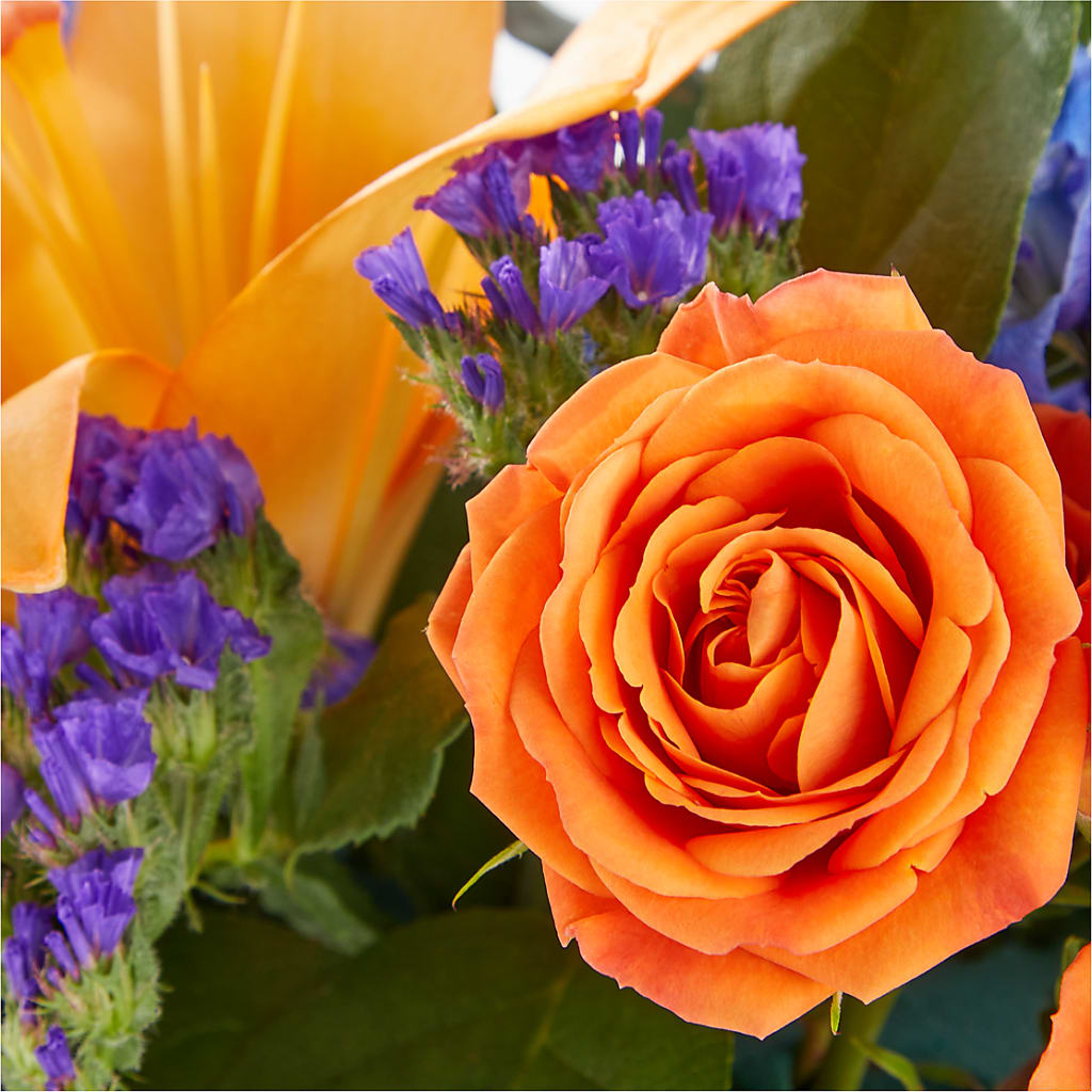 Radiant Citrus Box Bouquet – PARKER'S FLORIST, Madison AL