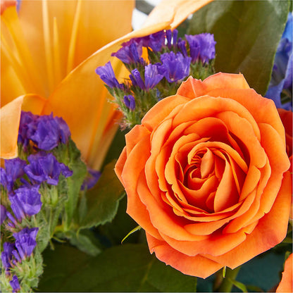 Radiant Citrus Box Bouquet – PARKER'S FLORIST, Madison AL