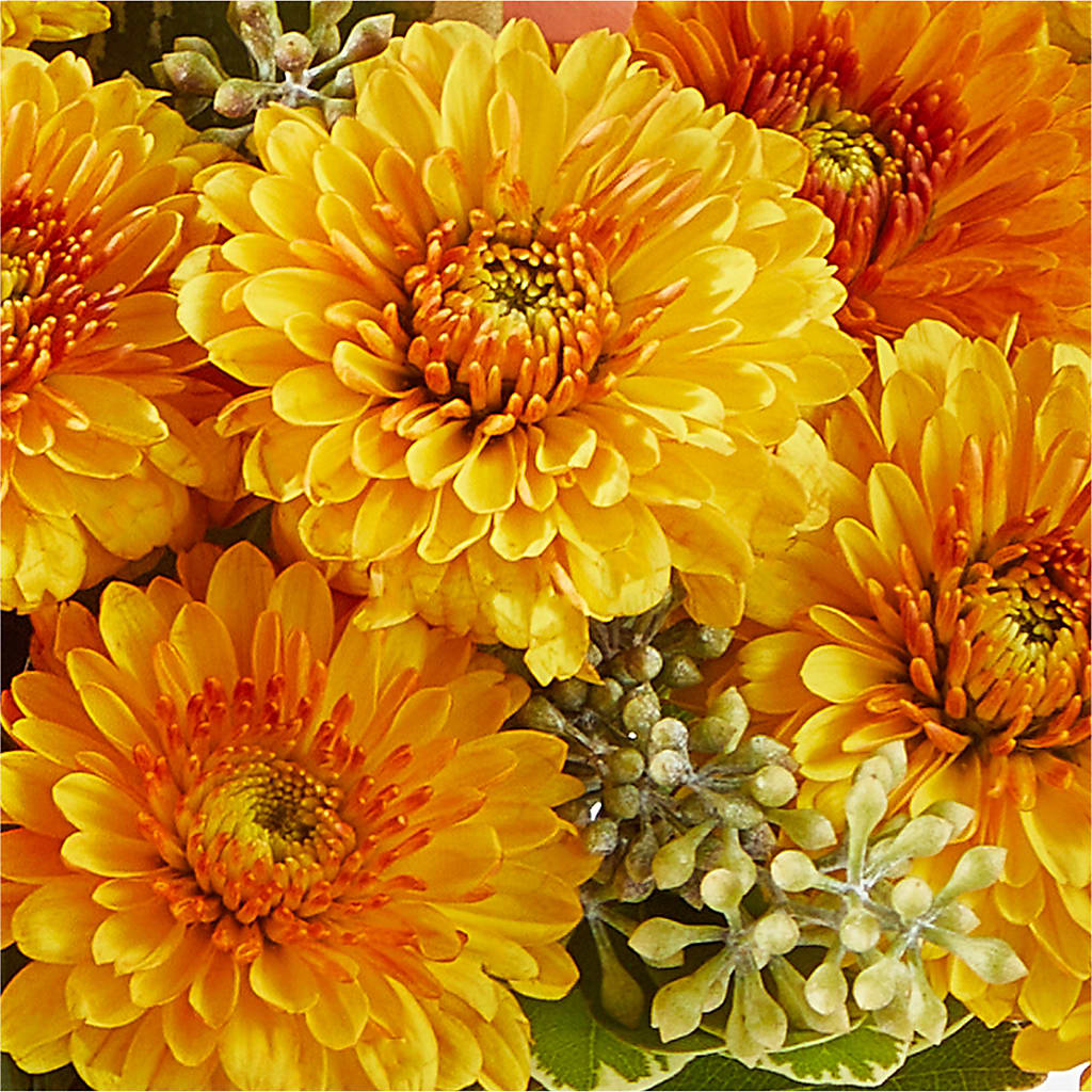 Peachy Pumpkin – PARKER'S FLORIST, Madison AL