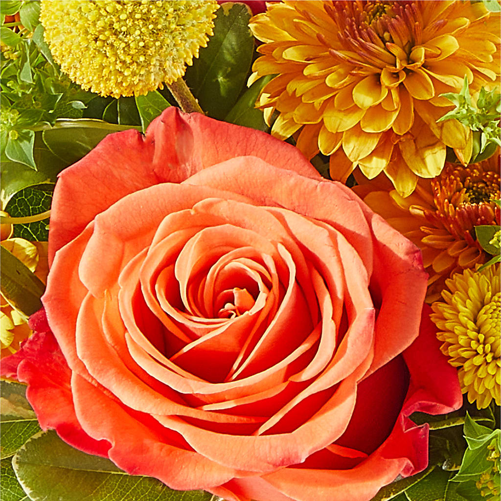 Gourdgeous Pumpkin – PARKER'S FLORIST, Madison AL