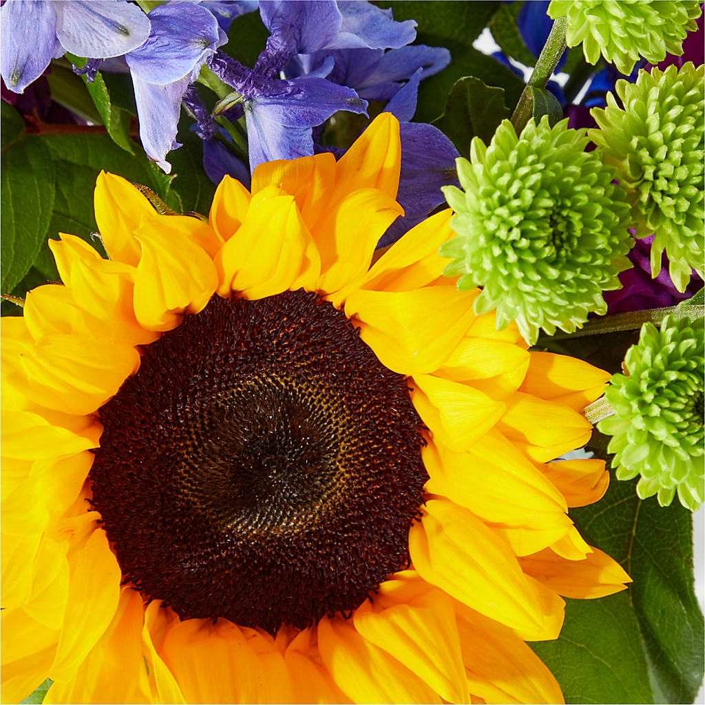 Catching Rays Bouquet – PARKER'S FLORIST, Madison AL
