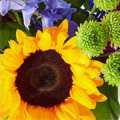 Catching Rays Bouquet – PARKER'S FLORIST, Madison AL