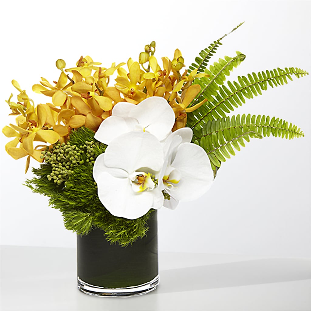 The Tropics – PARKER'S FLORIST, Madison AL