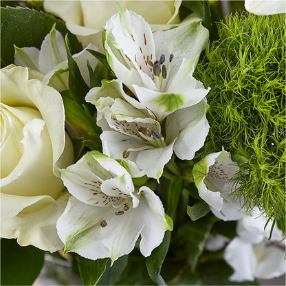 Classic Ivory – A Florist Original – PARKER'S FLORIST, Madison AL