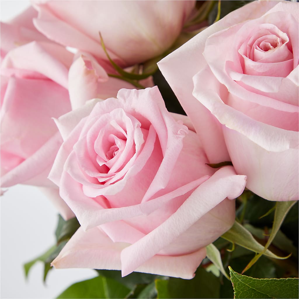 Picture Perfect Pink Rose Bouquet – PARKER'S FLORIST, Madison AL