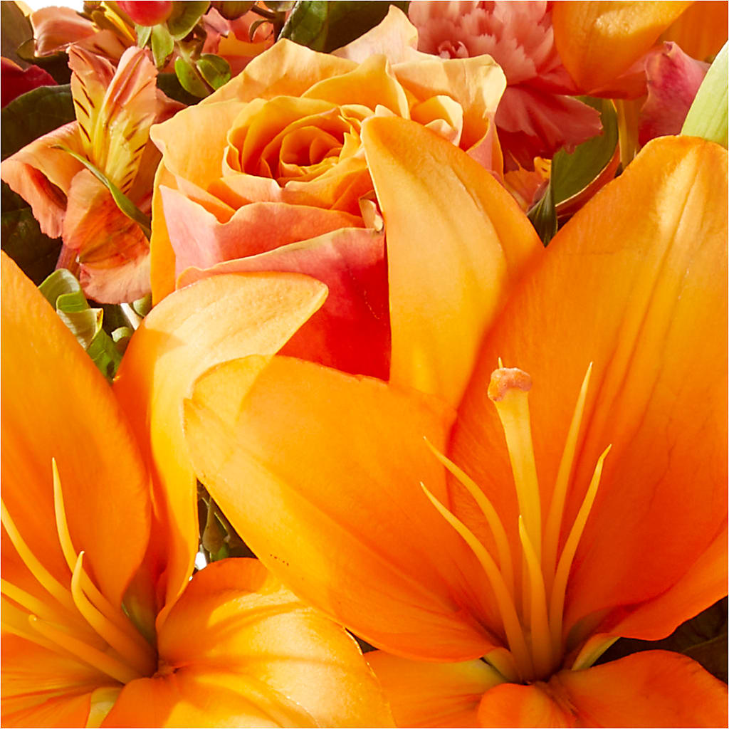 Afternoon Light Bouquet – PARKER'S FLORIST, Madison AL