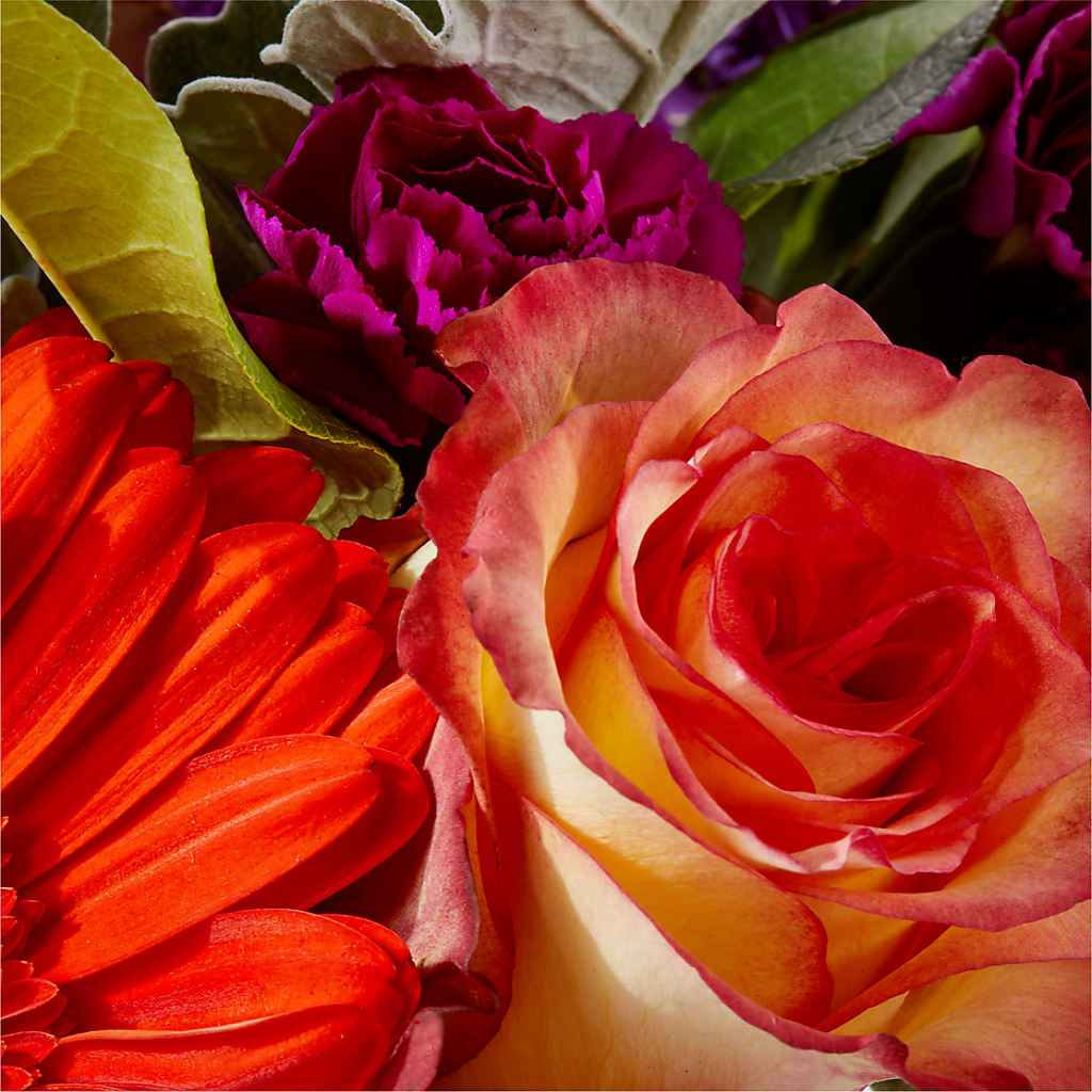 Sangria Bouquet – PARKER'S FLORIST, Madison AL