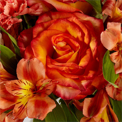 Apricot Glow Bouquet – PARKER'S FLORIST, Madison AL