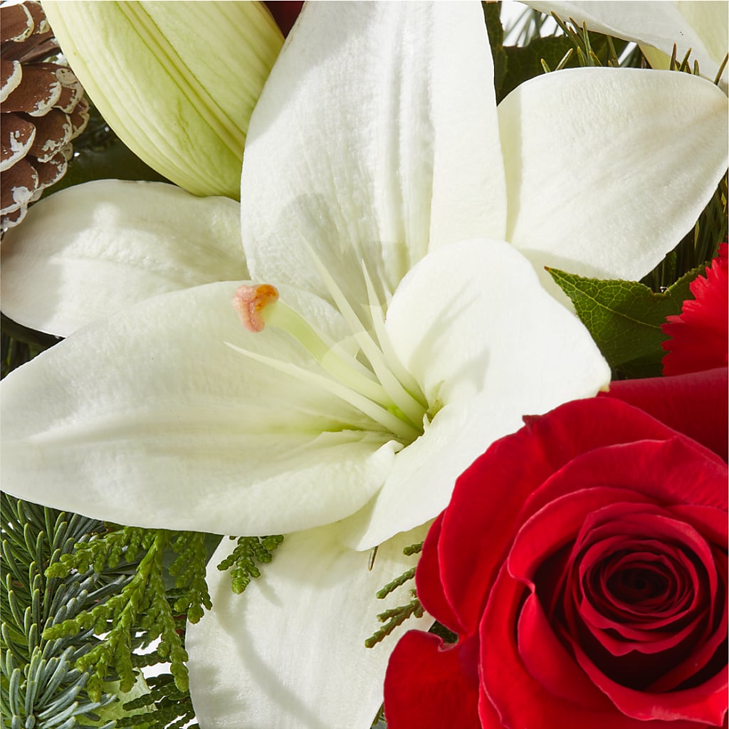 Oh So Jolly Bouquet – PARKER'S FLORIST, Madison AL