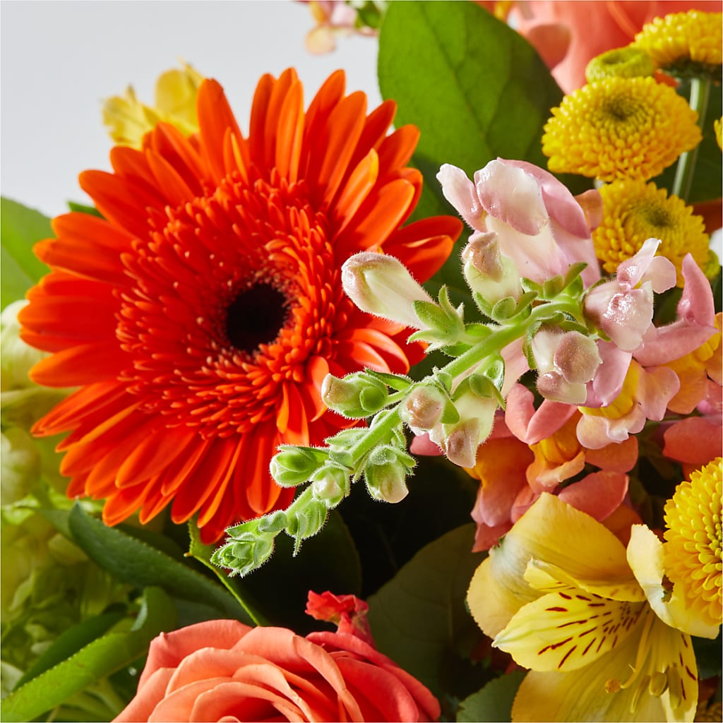 Autumn Sunshine Bouquet – PARKER'S FLORIST, Madison AL