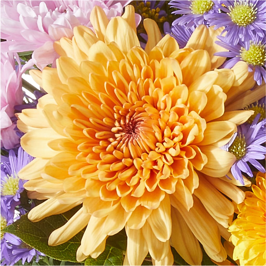 Countryside Bouquet – PARKER'S FLORIST, Madison AL