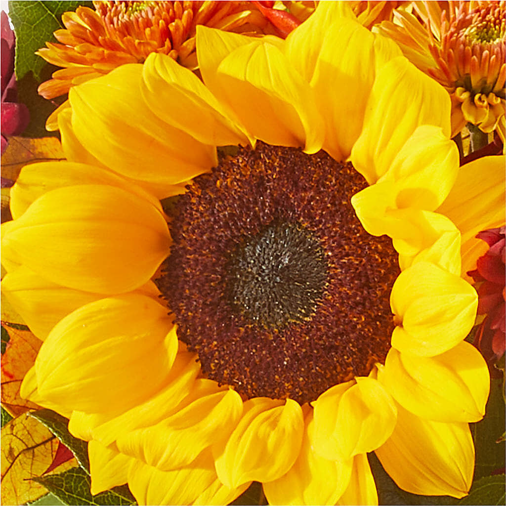 Sunny Side Bouquet – PARKER'S FLORIST, Madison AL