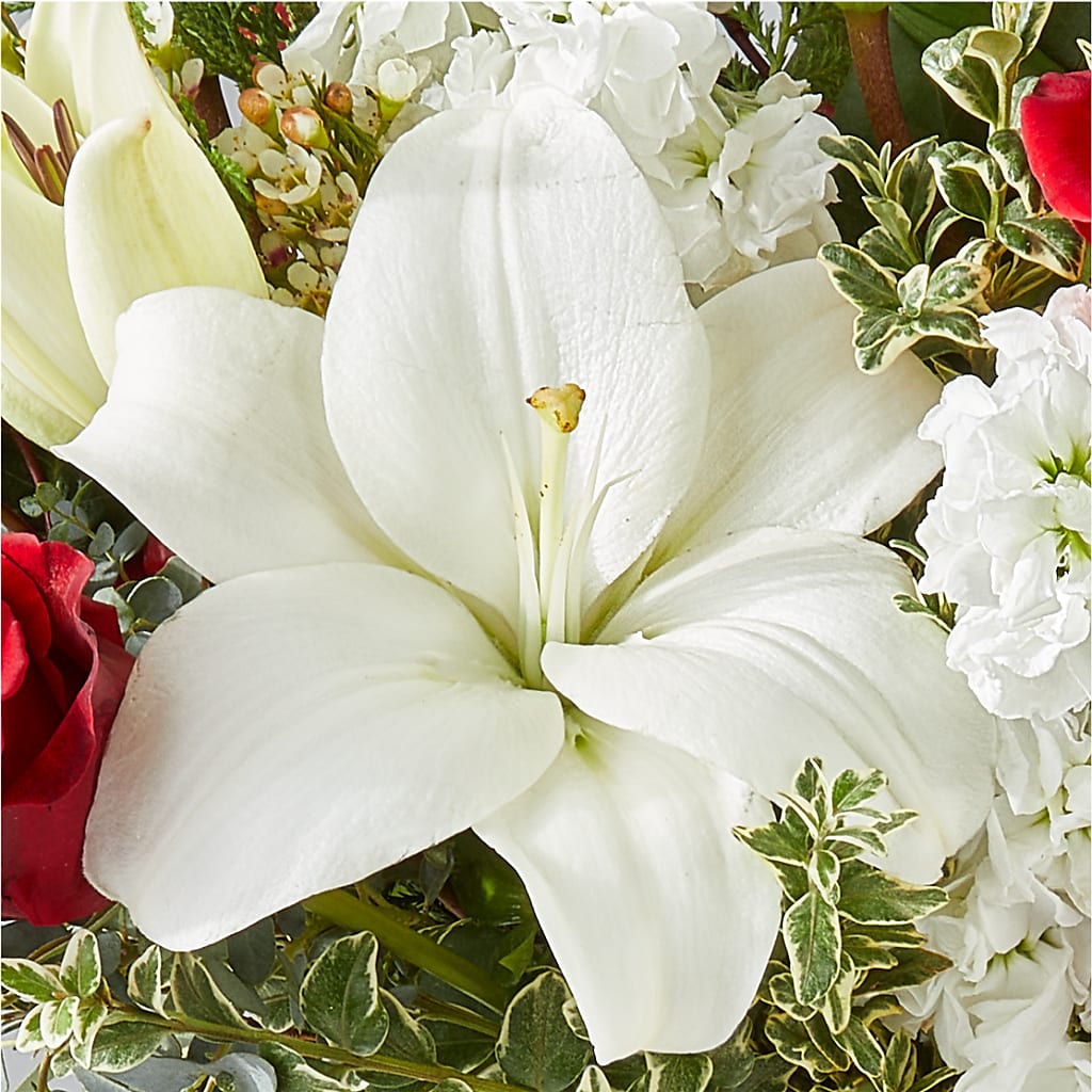 Twinkle Lights Bouquet – PARKER'S FLORIST, Madison AL