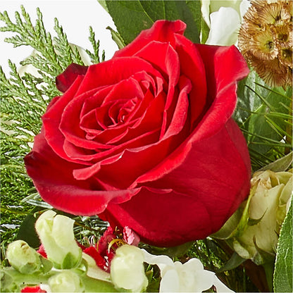 Deck the Halls Bouquet – PARKER'S FLORIST, Madison AL