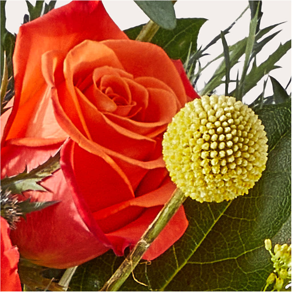 Disco Bouquet – PARKER'S FLORIST, Madison AL