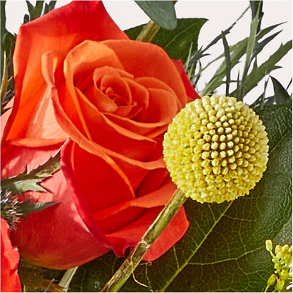 Disco Bouquet – PARKER'S FLORIST, Madison AL