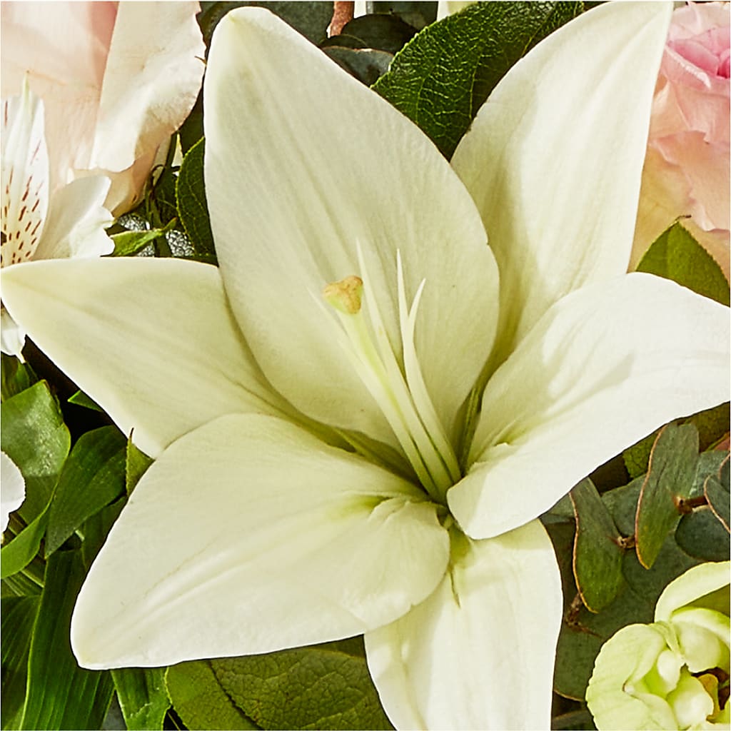 Ballet Slippers Bouquet – PARKER'S FLORIST, Madison AL