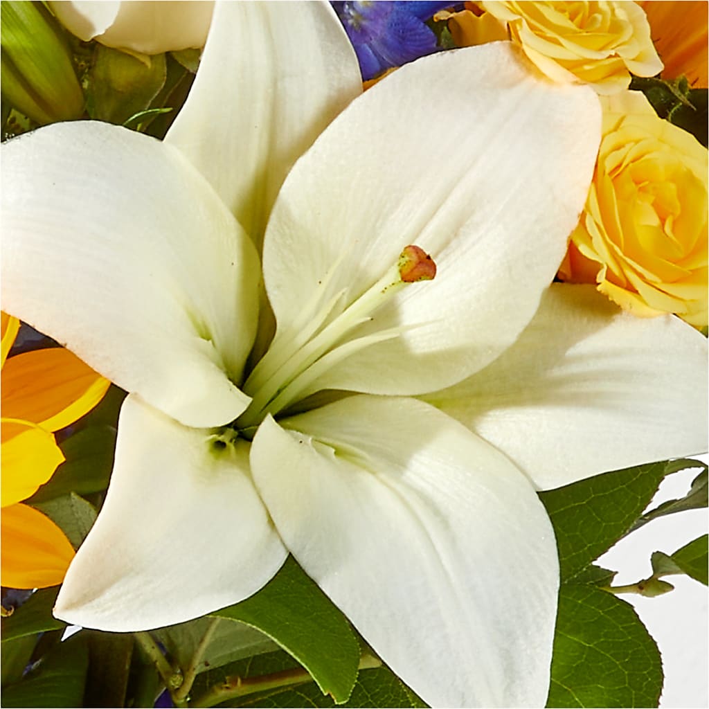 Wonderfully Sunny Bouquet – PARKER'S FLORIST, Madison AL