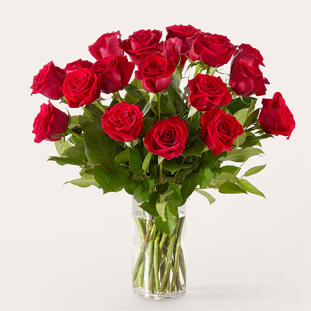 The One Red Rose Bouquet – PARKER'S FLORIST, Madison AL