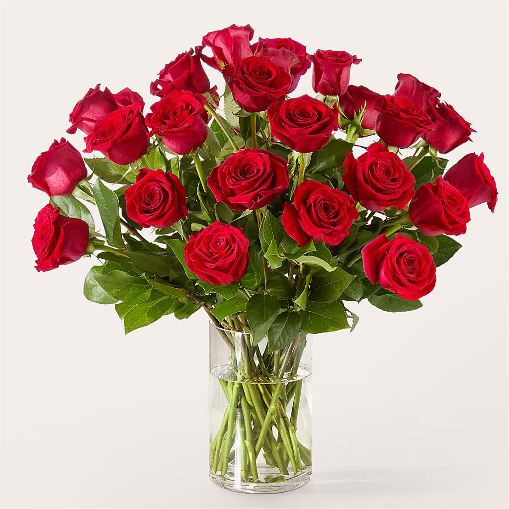 The One Red Rose Bouquet – PARKER'S FLORIST, Madison AL