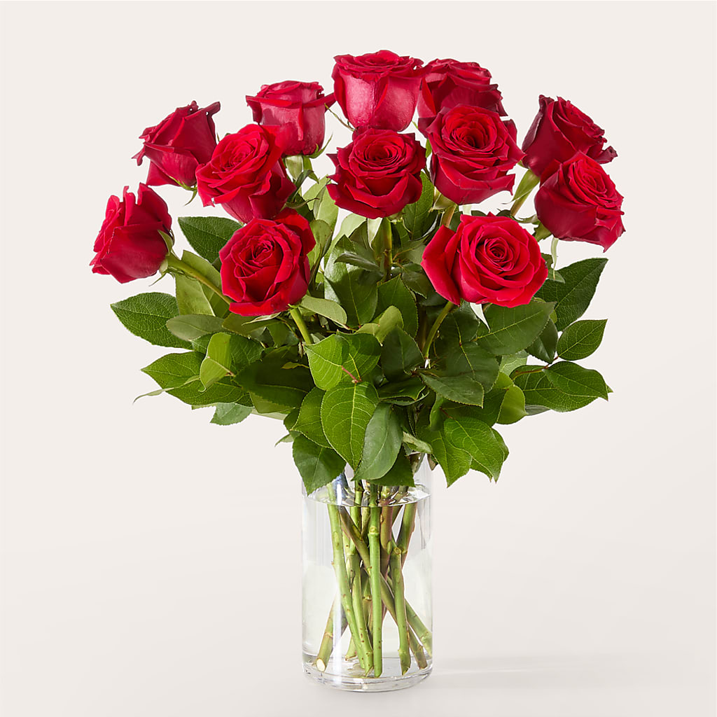 The One Red Rose Bouquet – PARKER'S FLORIST, Madison AL
